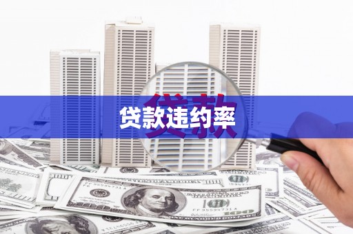 叶县贷款违约率