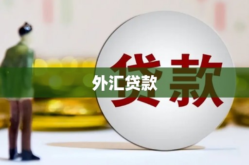 叶县外汇贷款