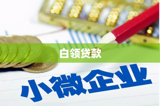 叶县白领贷款