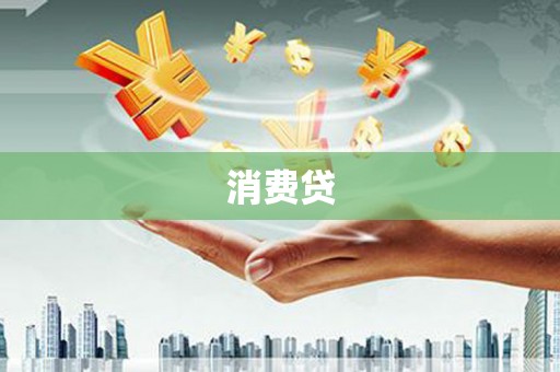 叶县消费贷