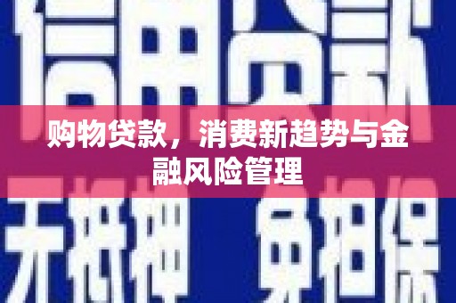 叶县购物贷款，消费新趋势与金融风险管理
