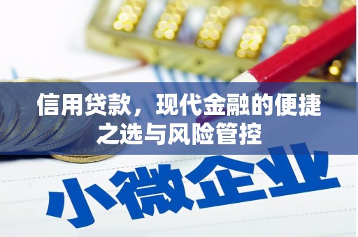 叶县信用贷款，现代金融的便捷之选与风险管控