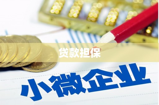 叶县贷款担保