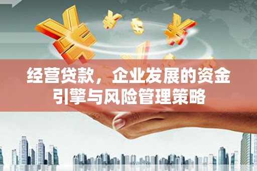 叶县经营贷款，企业发展的资金引擎与风险管理策略