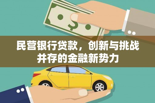 叶县民营银行贷款，创新与挑战并存的金融新势力