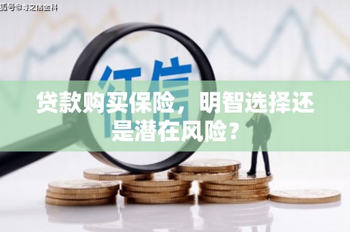 叶县贷款购买保险，明智选择还是潜在风险？