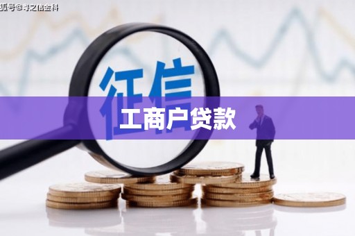叶县工商户贷款