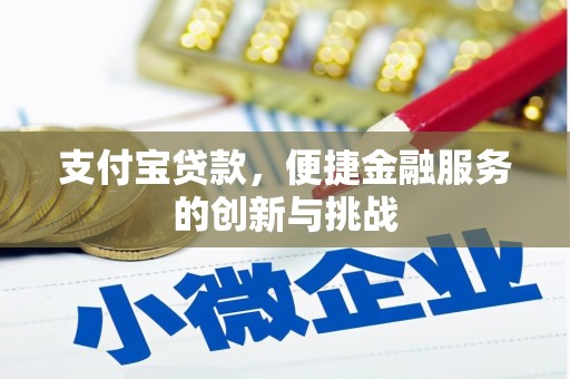 叶县支付宝贷款，便捷金融服务的创新与挑战