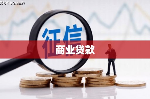 叶县商业贷款