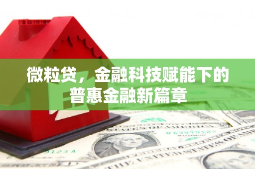 叶县微粒贷，金融科技赋能下的普惠金融新篇章