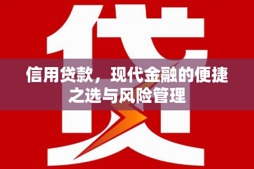 叶县信用贷款，现代金融的便捷之选与风险管理