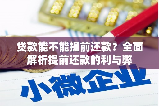 叶县贷款能不能提前还款？全面解析提前还款的利与弊