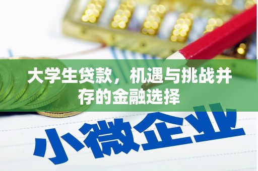 叶县大学生贷款，机遇与挑战并存的金融选择