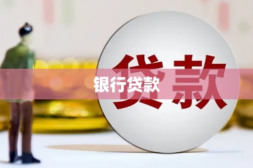 叶县银行贷款