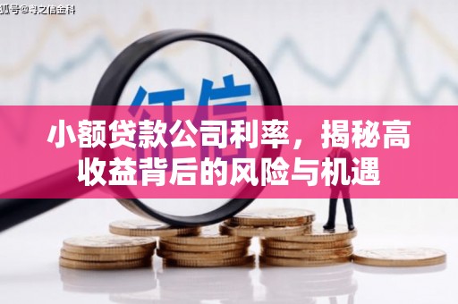 叶县小额贷款公司利率，揭秘高收益背后的风险与机遇