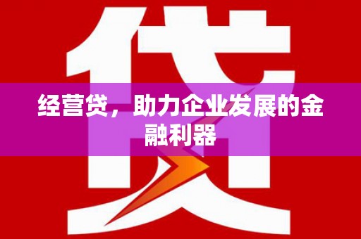 叶县经营贷，助力企业发展的金融利器