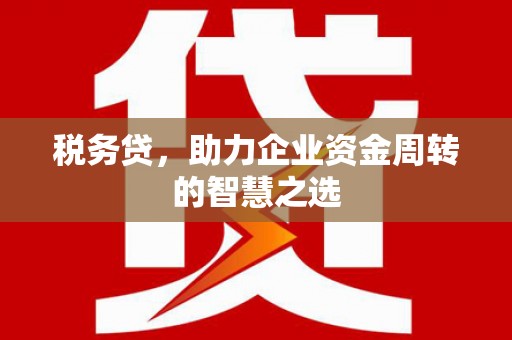 叶县税务贷，助力企业资金周转的智慧之选