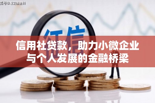 叶县信用社贷款，助力小微企业与个人发展的金融桥梁