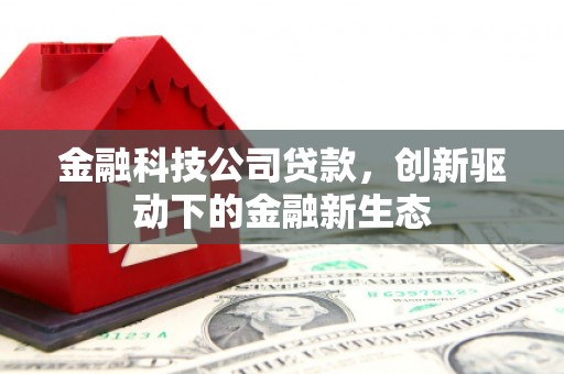 叶县金融科技公司贷款，创新驱动下的金融新生态