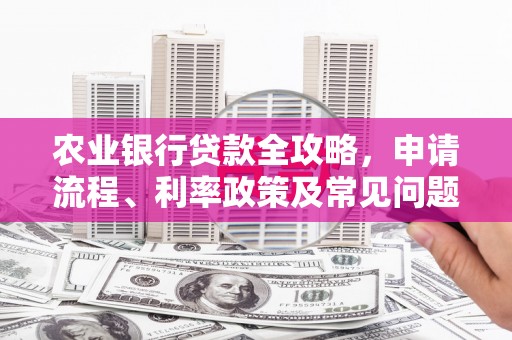 叶县农业银行贷款全攻略，申请流程、利率政策及常见问题解析