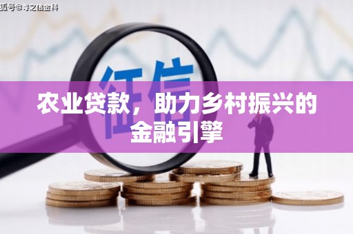 叶县农业贷款，助力乡村振兴的金融引擎