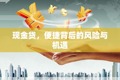 叶县现金贷，便捷背后的风险与机遇