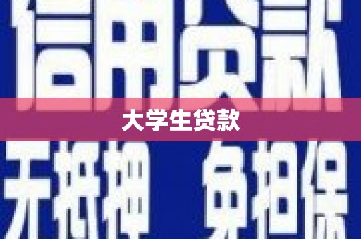 叶县大学生贷款