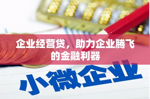 叶县企业经营贷，助力企业腾飞的金融利器