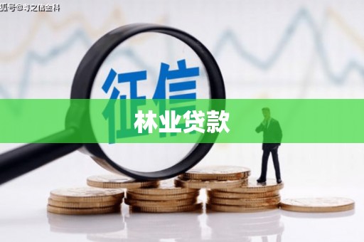 叶县林业贷款