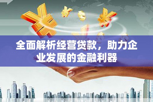 叶县全面解析经营贷款，助力企业发展的金融利器