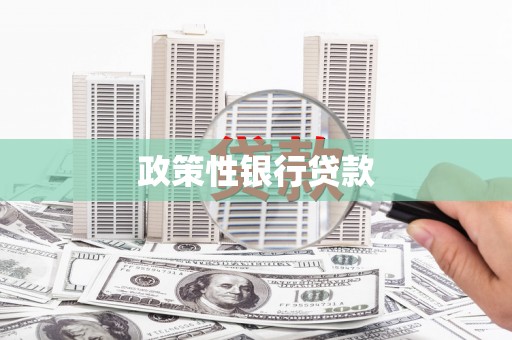 叶县政策性银行贷款