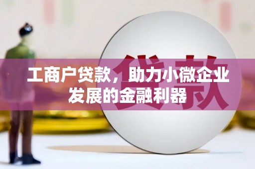 叶县工商户贷款，助力小微企业发展的金融利器