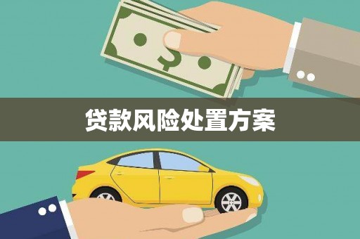 叶县贷款风险处置方案