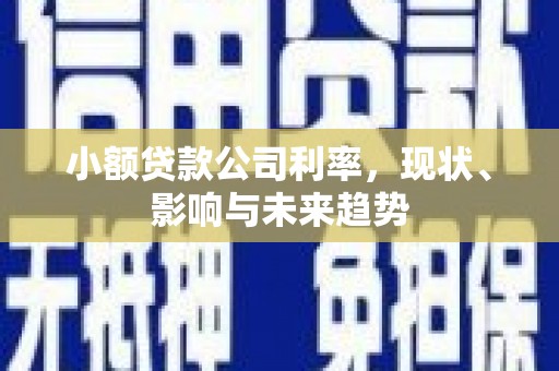 叶县小额贷款公司利率，现状、影响与未来趋势