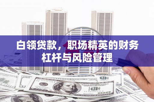 叶县白领贷款，职场精英的财务杠杆与风险管理