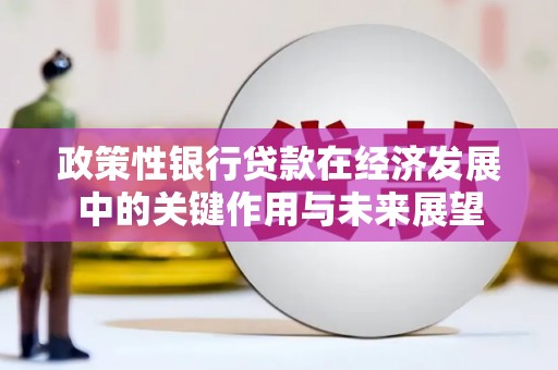 叶县政策性银行贷款在经济发展中的关键作用与未来展望