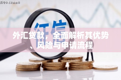 叶县外汇贷款，全面解析其优势、风险与申请流程
