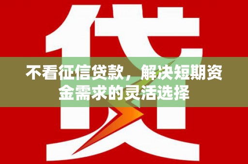 叶县不看征信贷款，解决短期资金需求的灵活选择