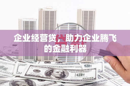 叶县企业经营贷，助力企业腾飞的金融利器