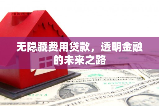 叶县无隐藏费用贷款，透明金融的未来之路
