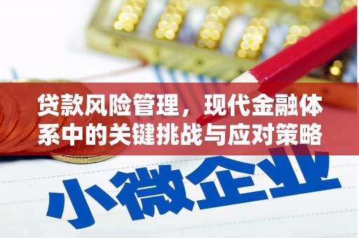 叶县贷款风险管理，现代金融体系中的关键挑战与应对策略