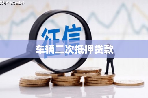 叶县车辆二次抵押贷款