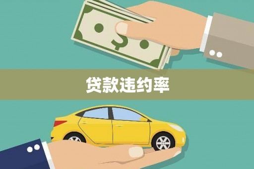叶县贷款违约率
