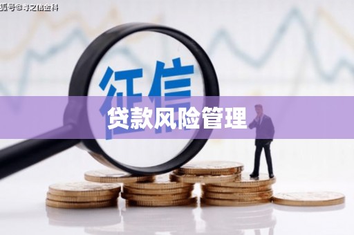 叶县贷款风险管理