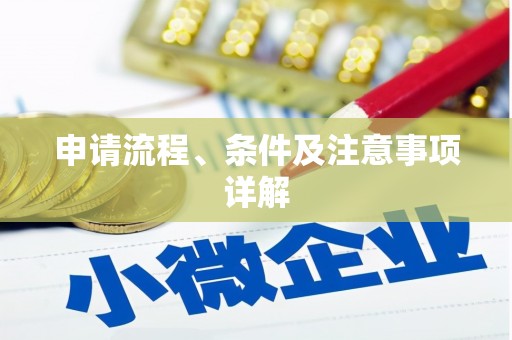 叶县申请流程、条件及注意事项详解