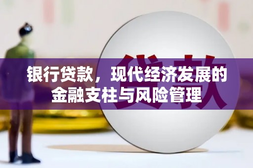 叶县银行贷款，现代经济发展的金融支柱与风险管理