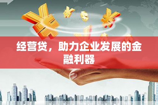叶县经营贷，助力企业发展的金融利器