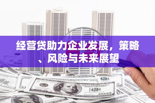 叶县经营贷助力企业发展，策略、风险与未来展望