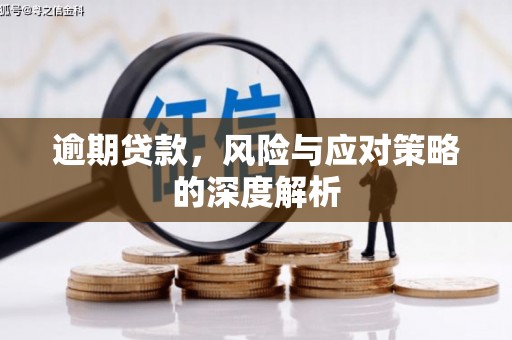 叶县逾期贷款，风险与应对策略的深度解析
