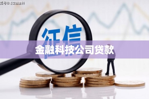 叶县金融科技公司贷款